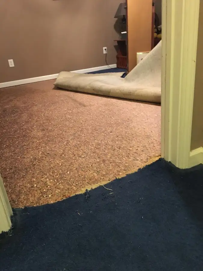 Carpet pad removal revealing water damage during Water Mitigation Services in Cordele