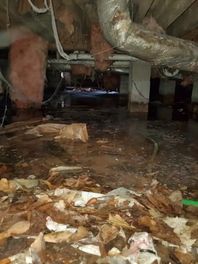 Crawl space flood assessment for Leak Detection & Repair in Cordele