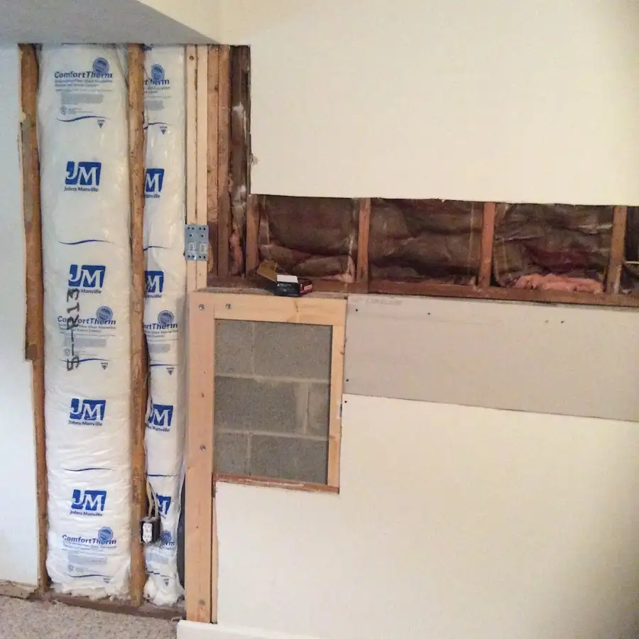 Wall insulation replacement during Basement Flood Cleanup in Cordele